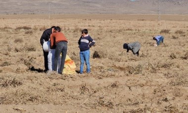 Zarar eden çiftçi, yetiştirdiği patatesi bedava dağıttı