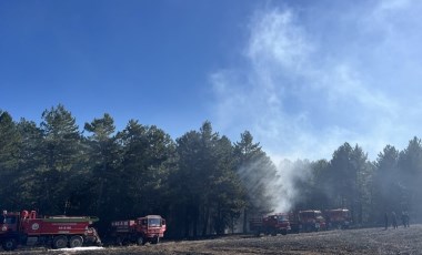 Kütahya’da orman yangını!