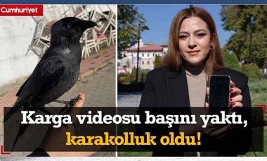 Karga videosu sosyal medyada viral olmuştu! O video başını yaktı, karakolluk oldu