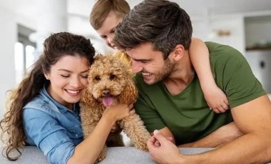 Çocuklarınız ve sizin için yeni bir dost! Küçük evler için ideal 7 aile dostu köpek cinsi