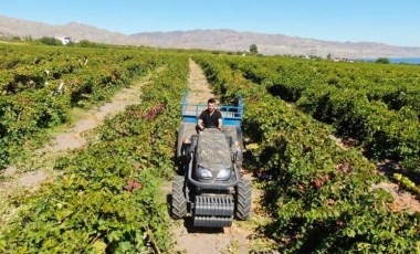 Mühendisliği bıraktı çiftçi oldu: Haftada 3 gün çalışarak 5 mühendis maaşı kazanıyor