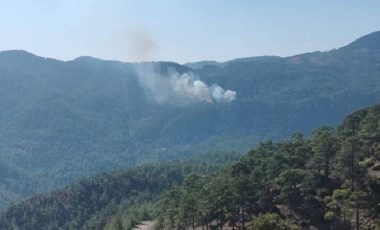 Muğla'da orman yangını: Havadan ve karadan müdahale!