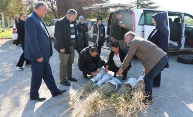 Asya’ya özgü lezzet Erzincan Ovası'nda yetiştirilecek! Alternatif tıpta önemli bir yer sahip...