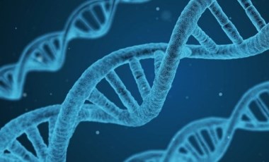 Türklerin genetik kodları ortaya çıktı! 81 şehirden 4 bin kişinin DNA'sı incelendi