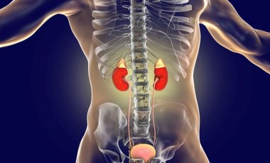 Adrenal kitleler: Sessiz tehlike hakkında bilinmesi gerekenler