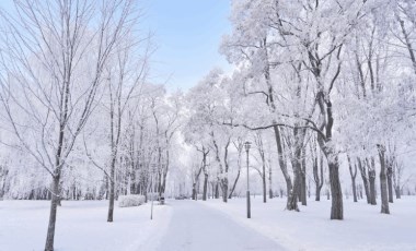 Meteoroloji paylaştı: Kar yağışı bekleniyor! 5 günlük hava durumu...