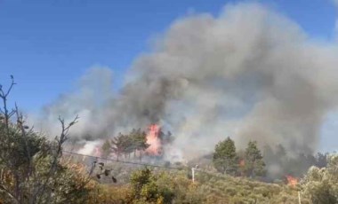 Muğla'da orman yangını: Söndürme çalışmaları sürüyor