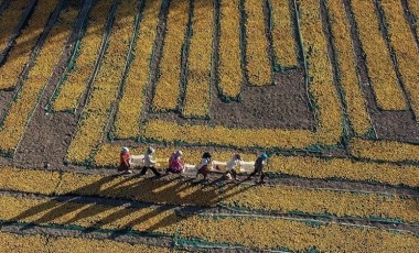 Türk tohumcular Rusya ile işbirliğini güçlendiriyor: 'Kalıcı ve yararlı sonuçlar sağlanacak'