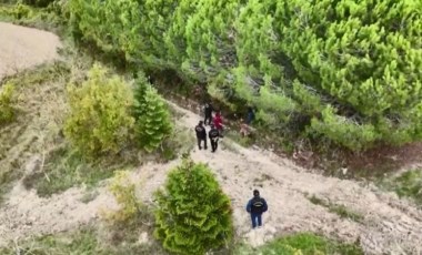 Kayıp iş insanı ormanda ölü bulundu: Katili en yakını çıktı!