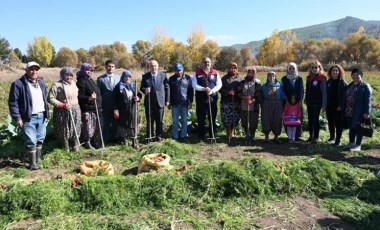 Acıpayam'da hasat başladı: Dekar başına verim 6 ton...