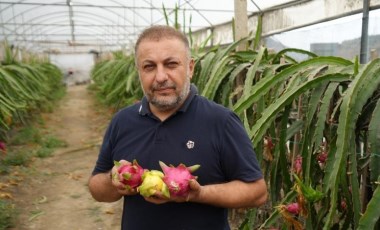 İnternetten gördü, yetiştirmeye başladı! Taleplere yetişemiyor! Yılda 5 kez hasat ediliyor...