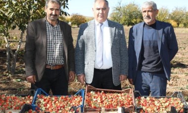 Elazığ'da hasat vakti: Dekara başına 2 bin 500 kilogram verim!