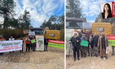 Yaşam savunucuları ağaç kıyımına karşı Çanakkale'de: 'Cengiz, Kazdağları'ndan defol!'