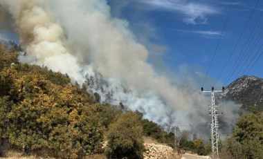 Antalya'da orman yangını: Ekipler müdahale ediyor!