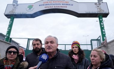 Hayvan barınağında katliam iddiası: 'AKP’si CHP’si yok’