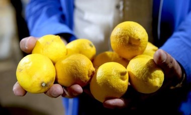 Türkiye'de 'pestisitli limon' krizi: Polonya alarm verdi, hepsi gümrükten geri döndü!