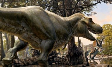 Dinozorları yok eden şey dev volkanik patlamalar değildi