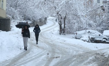 Van, Muş, Hakkari ve Bitlis'te kar etkili oldu