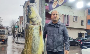 Elazığ’da ağa takıldı: 93 kilo ağırlığında 28 yaşında....