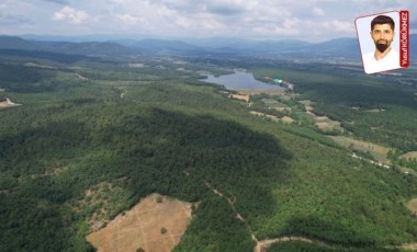 Kaz Dağları’nda “Sağlık turizm” adı altında katliam