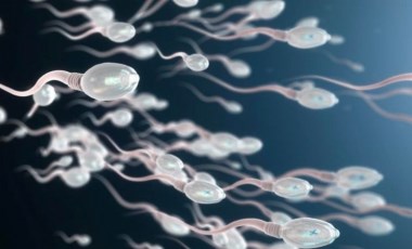 Ultrason ile sperm hızının artırılabildiği ortaya çıktı