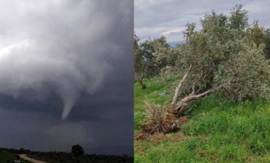 Zeytin ağaçlarını yerinden söktü.. Devasa hortum anbean kaydedildi!