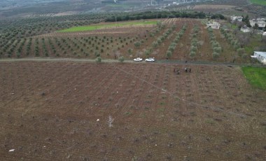 Kilis horozkarasında budama başladı: 160 bin dekar alanda üretiliyor