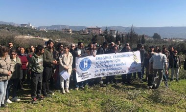 Hatay'da kamulaştırma kararları protesto edildi: 'Hatay zeytinsiz olmaz'