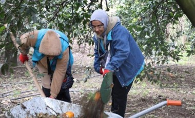 46 şehirden 200 kişi hasat için geldi!