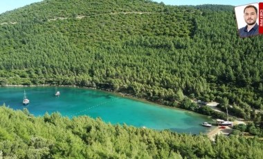 Türkbükü’nde zeytinlik alana otel projesi için ÇED süreci başlatıldı