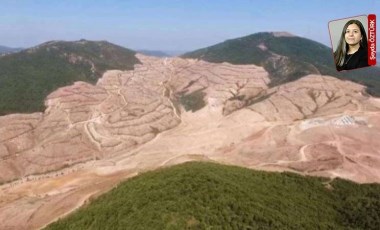 Maden şirketi Kaz Dağları’nda binlerce ağacı keserek büyüme peşinde: Doymuyorlar