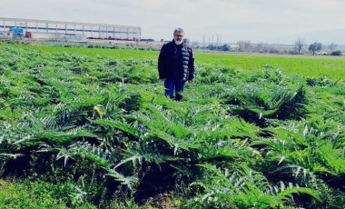 Eskiden sıradan bir sebze yemeğiydi, şimdi ilaç niyetine tüketiliyor! Sırrını çözmek için araştırma tarlası oluşturdu...