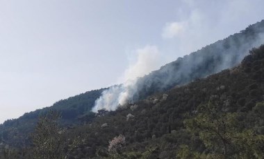 Kazdağları’nda orman yangını