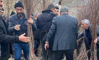 Elazığ'da muhtar adayından 'Sıfır Atık' hamlesi: Broşür yerine fidan dağıttı