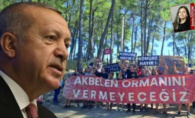 Resmi Gazete’de Akbelen Ormanı ve çevresiyle ilgili acele kamulaştırma kararları yayımlandı