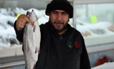 Denizi yok ama balıkçılıkta zirvede: Yılda 6 ton balık...