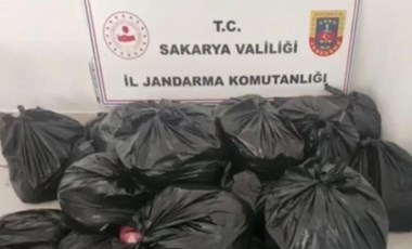 Sucuk yapıp piyasaya süreceklerdi... Sakarya'da 700 kiloluk at ve eşek eti ele geçirildi