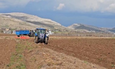 Ergani'de ekim başladı! Sofraların vazgeçilmezi: Nisan ayında hasat edilecek...