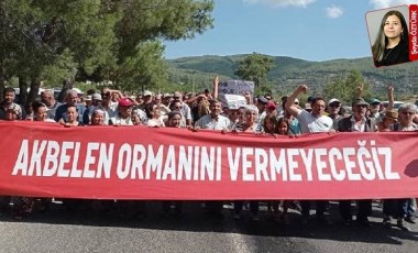 Katliama direniyorlar: İktidarın gözde şirketlerinin Akbelen’deki kıyımına karşı ekoloji örgütleri eylem yaptı