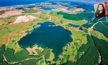 İstanbul'un ciğerleri Kuzey Ormanları parsel parsel talan ediliyor: Nefesimiz kalmadı