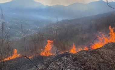 Artvin'de orman yangınında 1 hektar alan zarar gördü