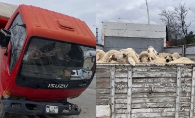 Ankara'da küçükbaş hayvan yüklü kamyon devrildi