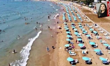 Mersin’de birbirlerine komşu iki ormanlık alanı talan edecek projelere onay