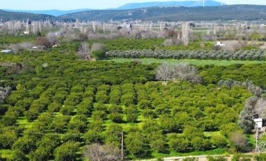 Seferihisar Belediyesi’nden üreticiye su desteği