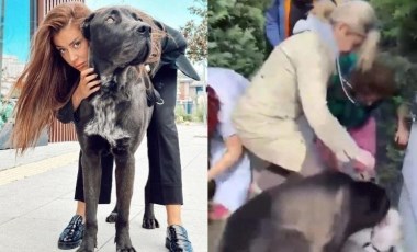 Banu Parlak'ın köpeğinin öldürdüğü Leo'nun tazminatı sokak hayvanlarına bağışlanacak