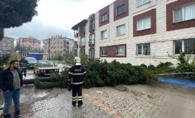 Antakya’da kuvvetli fırtına... Ağaç yola devirildi!