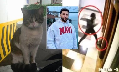 Kedi Eros davasında başsavcılıktan itiraz!