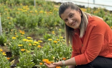 Hasat edildikten sonra krem ve sabuna dönüşecek! Cilt sağlığı için vazgeçilmez: Yılda 16 kez ürün veriyor...