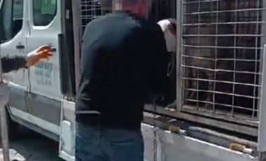 İstanbul'da pitbull saldırısı: Köpeğin sahibine gözaltı!