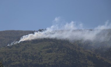 Uludağ eteklerinde orman yangını!